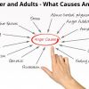 Anger and Adults - What Causes Anger?